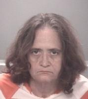 Susan Highlander Bailey (Pasco Co Mug shot)